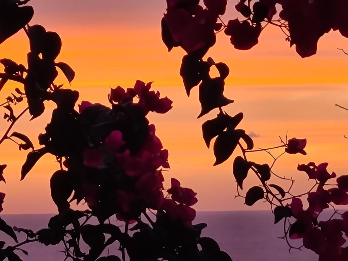 “Cielo E Mare”, Casetta Nel Cuore Del Borgo Antico / “Sky & Sea”, Charming In The Heart Of Old Village Castelsardo Exterior foto